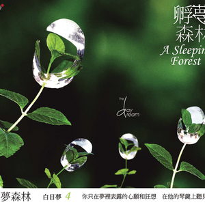 污污视频下载页面
